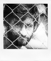 https://mail.bertrandcarriere.com:443/files/gimgs/th-38_26polaroids of war.jpg